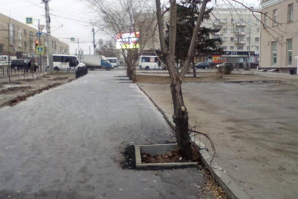 Рабочие оставили дереву на Ленинградской площади мало шансов на выживание Рабочие оставили дереву на Ленинградской площади мало шансов на выживание