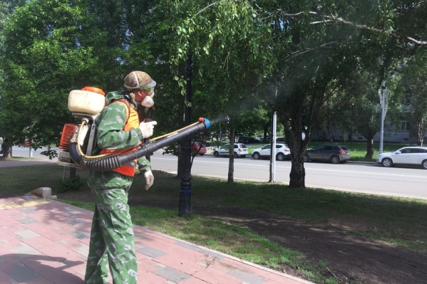 Зеленые зоны обрызгают специальным веществом для борьбы с клещами — акарицидом Зеленые зоны обрызгают специальным веществом для борьбы с клещами — акарицидом