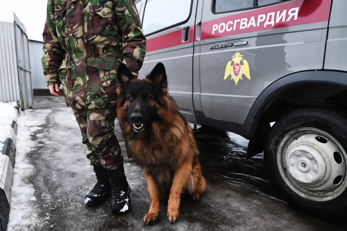 Новосибирских гвардейцев ждёт командировка на матчи в Самаре, Саранске и Казани Новосибирских гвардейцев ждёт командировка на матчи в Самаре, Саранске и Казани