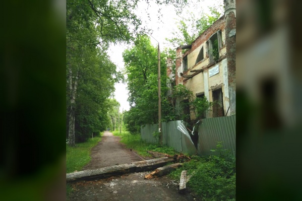 Балки от здания рухнули на дорогу, по которой ходят люди Балки от здания рухнули на дорогу, по которой ходят люди