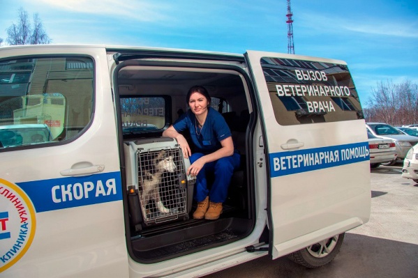 Ветеринарная неотложка работает уже три дня Ветеринарная неотложка работает уже три дня