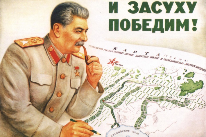 Великий план вождя по озеленению вспомнили в Волгограде в этом году Великий план вождя по озеленению вспомнили в Волгограде в этом году