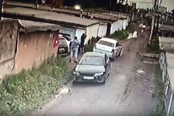 В собак стреляли из пневматического ружья В собак стреляли из пневматического ружья