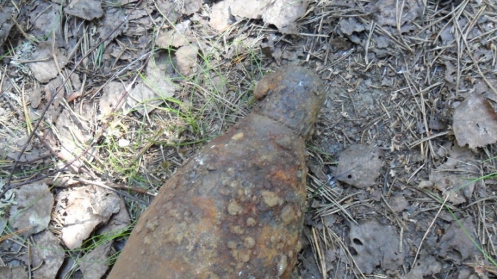 «Могли взорваться в любой момент»: в Двинском Березнике жители нашли столетние английские снаряды