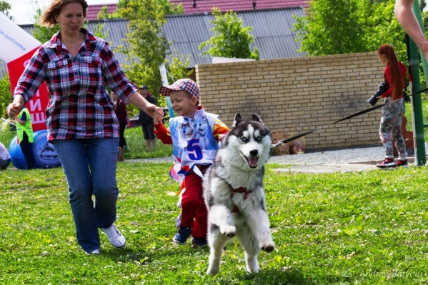 Весело было всем — и детям, и родителям, и собакам Весело было всем — и детям, и родителям, и собакам