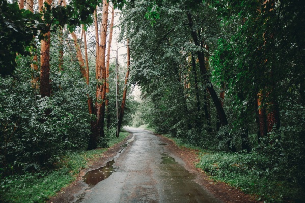 Парк Оловянникова находится рядом с Затюменским, но мало кто из горожан добирается до этого места — со стороны территория выглядит заброшенной