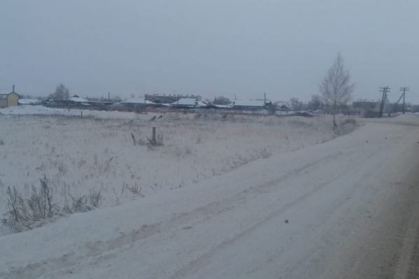 В серо-желтом цвете снега, по мнению сельчан, виновато предприятие В серо-желтом цвете снега, по мнению сельчан, виновато предприятие