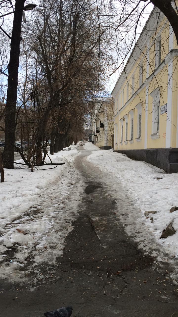 Высокинский назвал самые грязные районы города, но нашел им оправдание: онлайн-трансляция