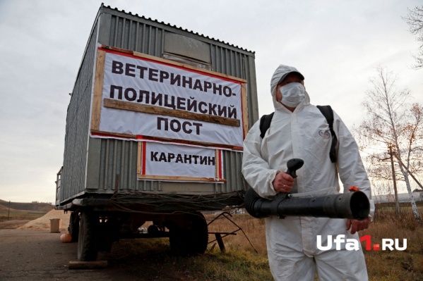 Ограничения ввели на неопределенный срок Ограничения ввели на неопределенный срок