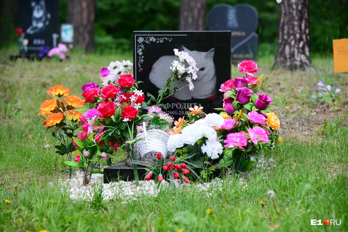 Черные памятники — редкость, поскольку черный цвет на кладбище домашних животных не приветствуют