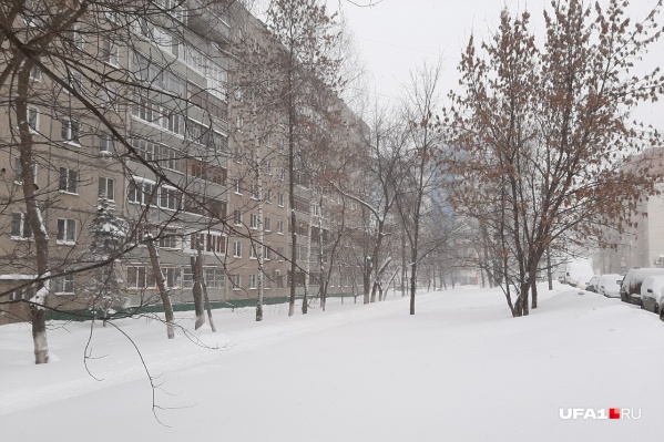 По данным источника UFA1.RU, семья живет недалеко от микрорайона Молодежный По данным источника UFA1.RU, семья живет недалеко от микрорайона Молодежный