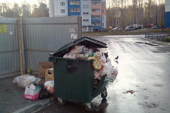 Жители «Паркового» утверждают, что к ним во двор уже вторую неделю по ночам привозят мусор Жители «Паркового» утверждают, что к ним во двор уже вторую неделю по ночам привозят мусор