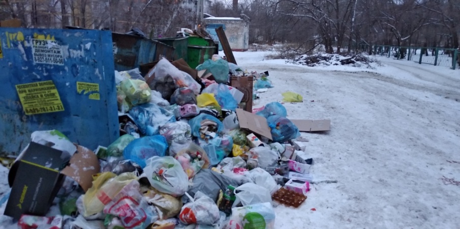 Волгоград с Нового года зарос невывезенным мусором - фото 2