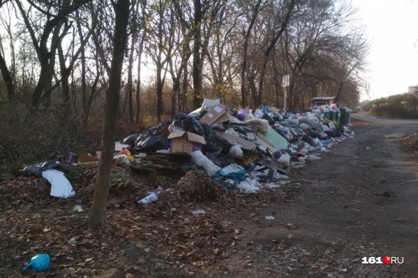 Эта свалка появилась здесь еще в июне 2019 года Эта свалка появилась здесь еще в июне 2019 года