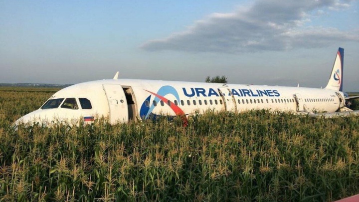 На принятие решения — секунды: видеореконструкция аварийной посадки Airbus на кукурузном поле