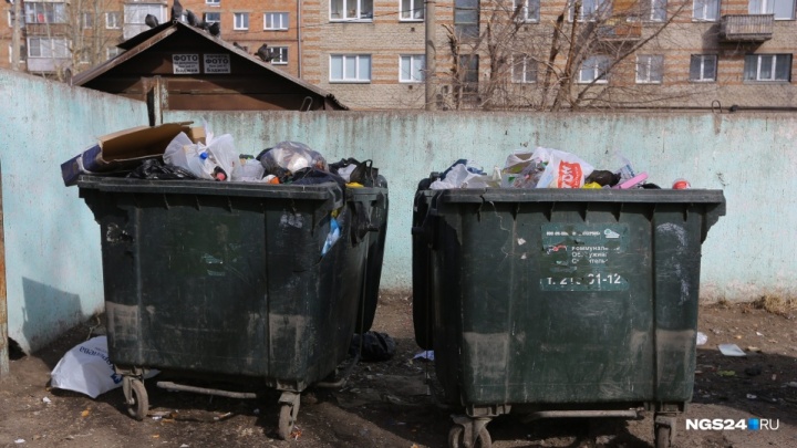 «В среднем семья заплатит 500 рублей в месяц». Назван тариф на вывоз мусора в Красноярске