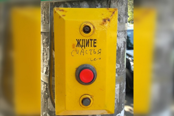 Нажми и жди Нажми и жди