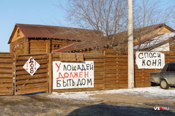 Решение о сносе конюшни пока никто не отменял Решение о сносе конюшни пока никто не отменял