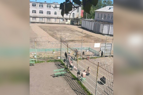Заключённые согласились прекратить голодовку после того, как им дали отопление Заключённые согласились прекратить голодовку после того, как им дали отопление