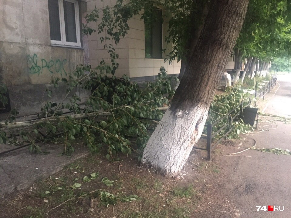 Ураганный ветер пришёл в Челябинскую область вместе с жарой Ураганный ветер пришёл в Челябинскую область вместе с жарой
