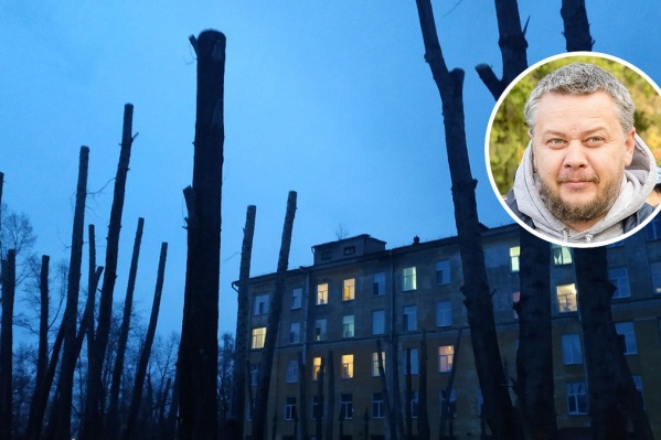 Андрей Вагин убежден, что урон наносит не только вырубка, но и санитарная обрезка деревьев в Кургане Андрей Вагин убежден, что урон наносит не только вырубка, но и санитарная обрезка деревьев в Кургане 