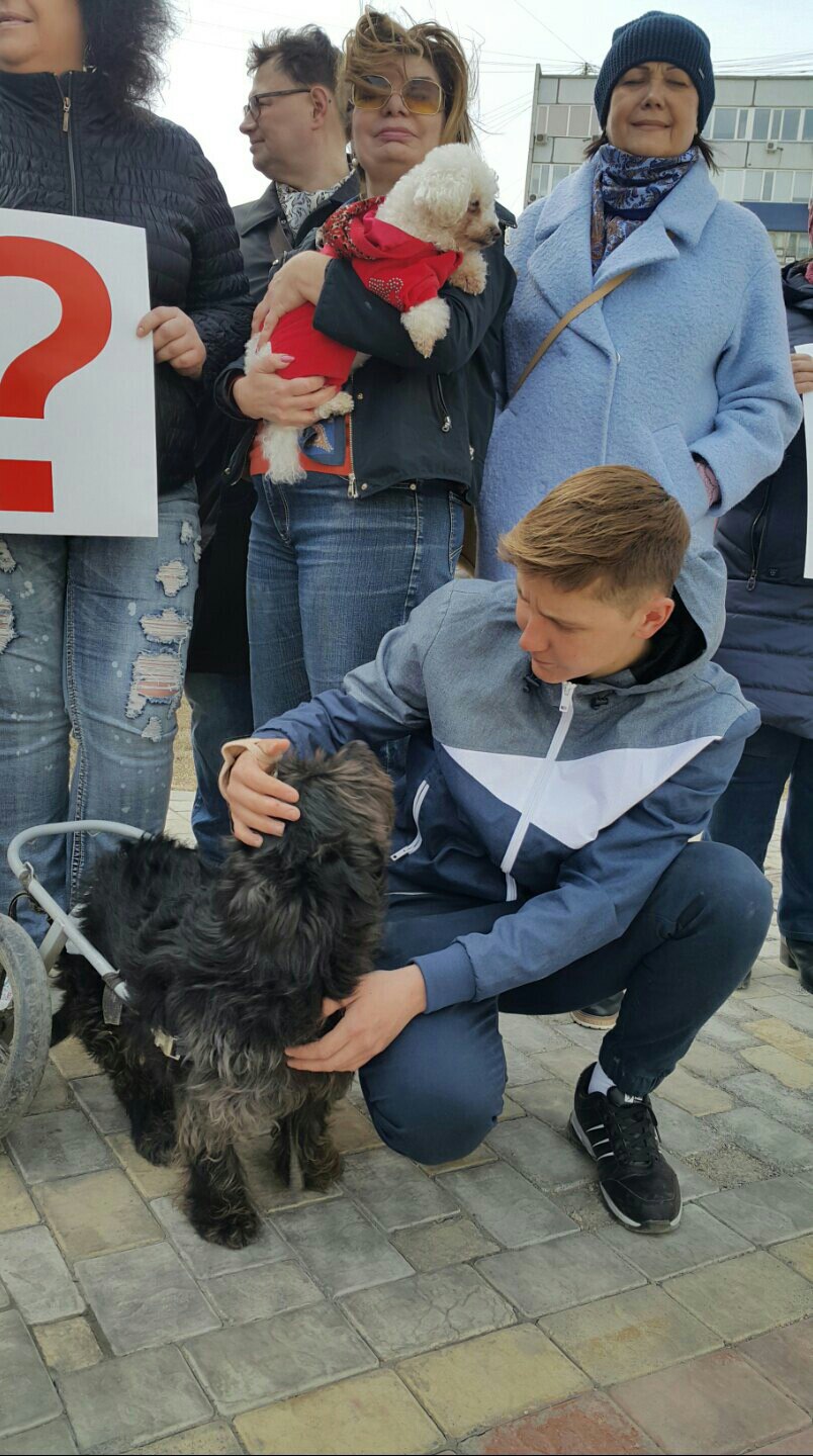 Участники пикета пришли вместе со своими питомцами Участники пикета пришли вместе со своими питомцами