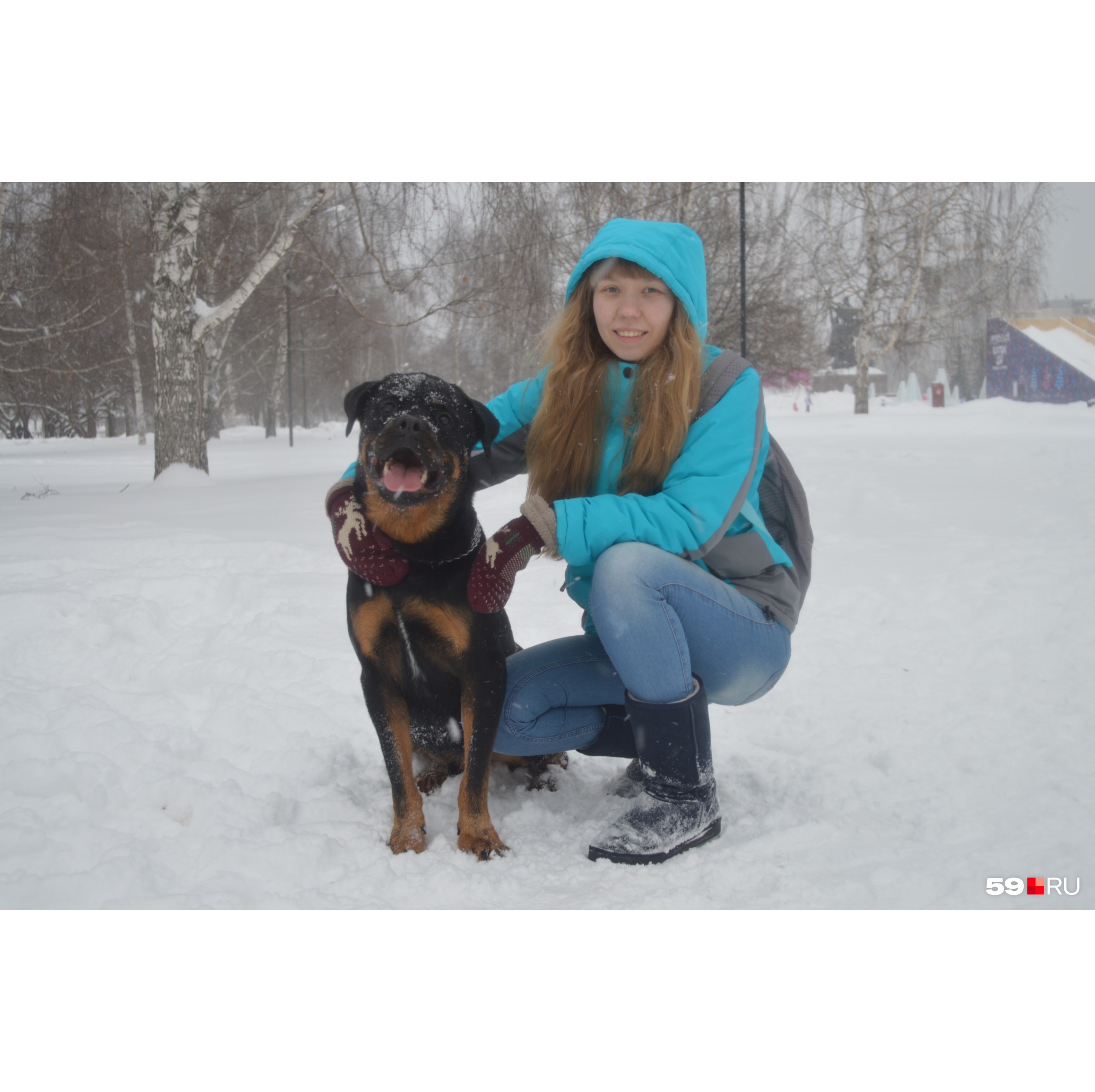 Ротвейлер-донор из Перми помогает собакам с онкологией