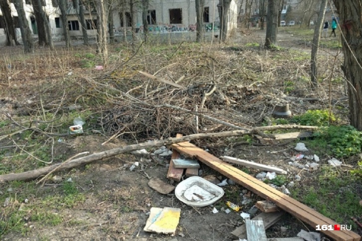 В Первомайском районе Ростова возникло кладбище упавших деревьев В Первомайском районе Ростова возникло кладбище упавших деревьев