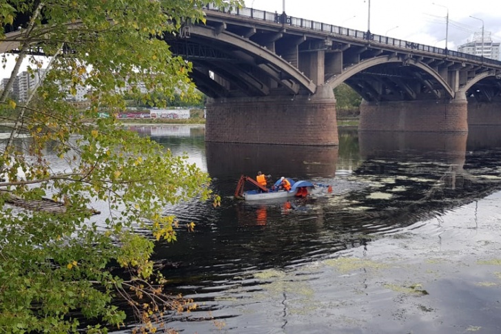 Водоросли обрезают с помощью специальной камышекосилки Водоросли обрезают с помощью специальной камышекосилки