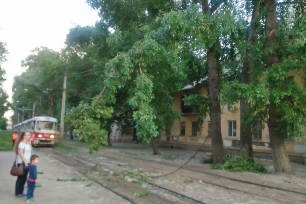 Провода оборвало с корнем Провода оборвало с корнем