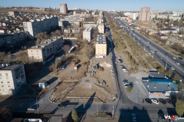 Новые деревья появились в парке Памяти на Университетском, 60 Новые деревья появились в парке Памяти на Университетском, 60