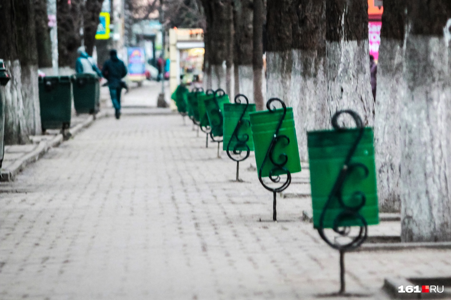 Закупку за 6,7 миллиарда рублей по уборке ростовских улиц проверят антимонопольщики