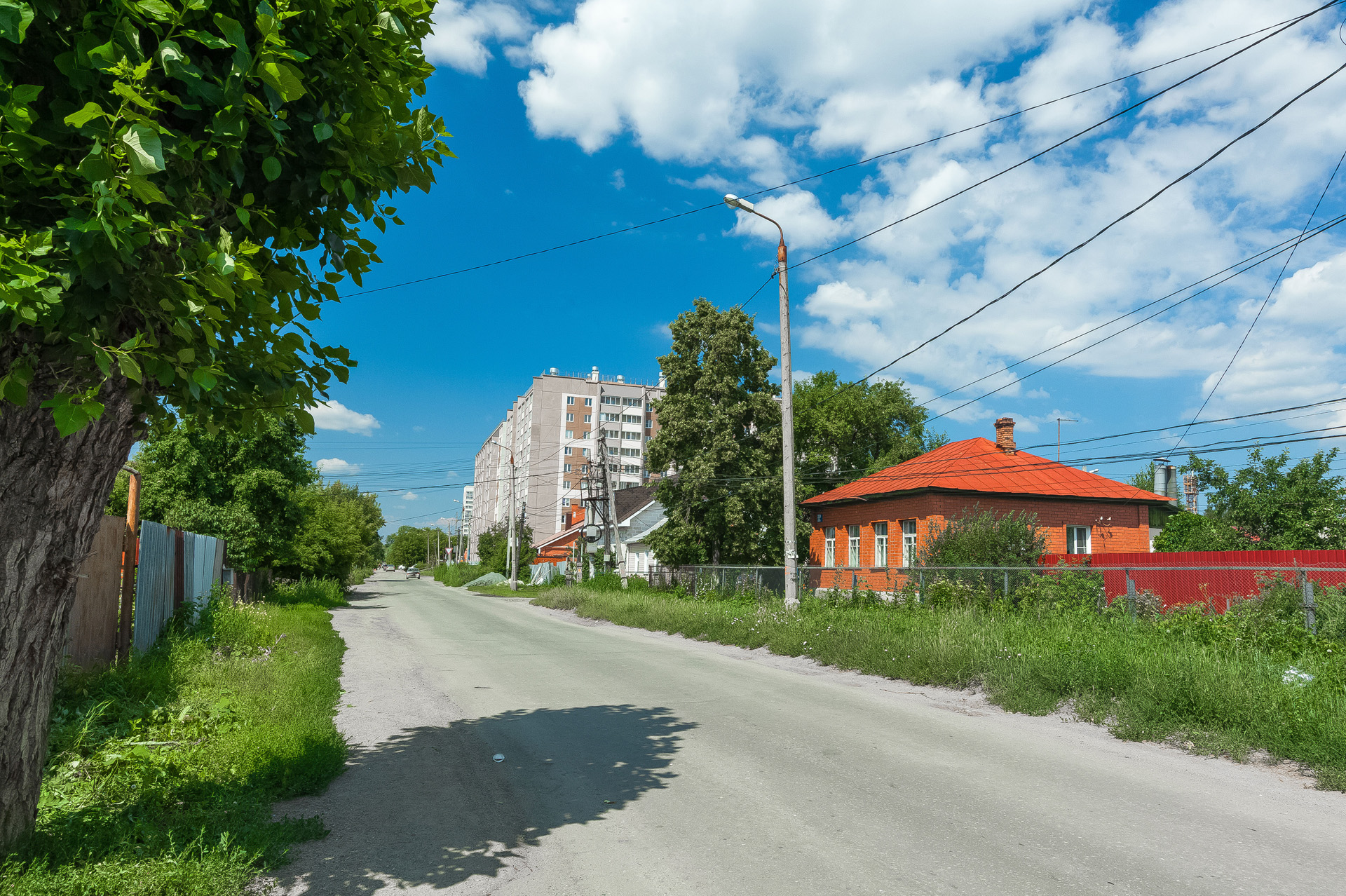 «Скажут, что я неправ»: глава Минэкологии предложил снова засадить Челябинск тополями