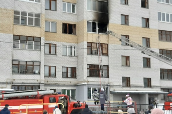 Во время пожара задохнулась собака Во время пожара задохнулась собака