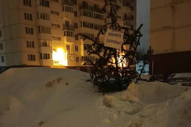 Жители улицы Татьяны Снежиной не знают уже как обратить внимание на огромные сугробы у себя во дворе Жители улицы Татьяны Снежиной не знают уже как обратить внимание на огромные сугробы у себя во дворе