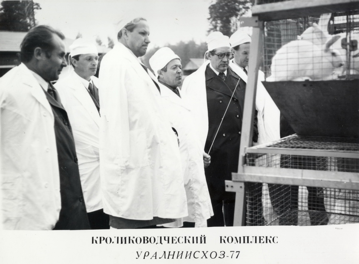 Борис Ельцин во время посещения кролиководческой фермы