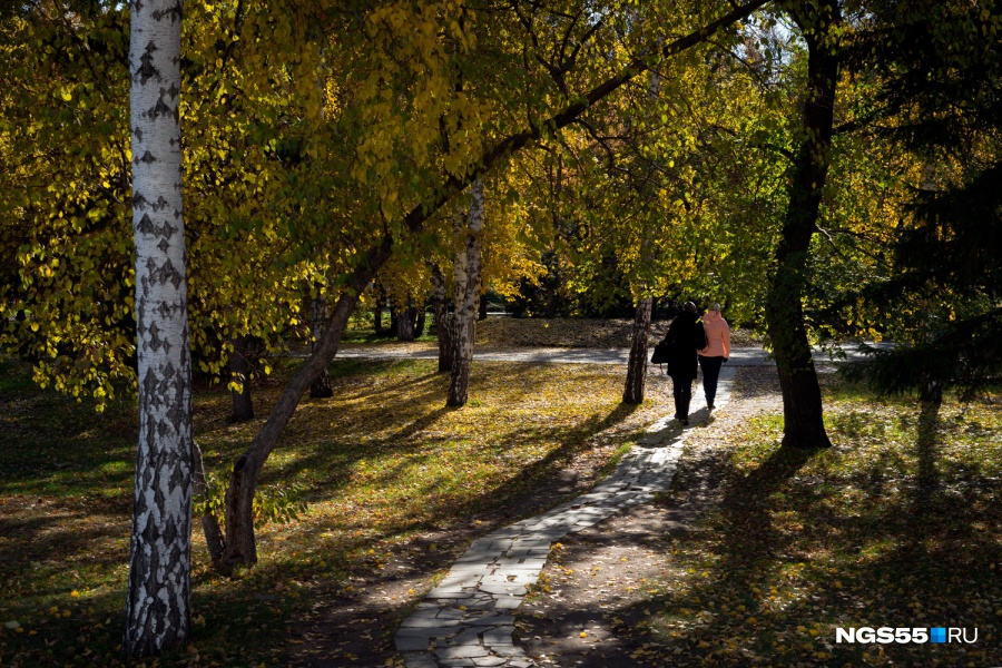 Песня в городе осень. Сквер зеленая река Омск фото осень. Омск осенью набережная фото. Красивые фото в парке Победы Омск осень в листве. Красивые фото в парке Победы Омск осень в листве прикол.