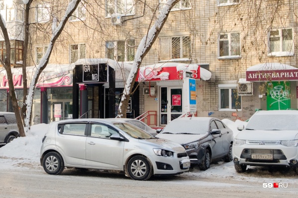 Вот так лучше не делать — ветки под тяжестью налипшего снега могут сломаться и повредить машину Вот так лучше не делать — ветки под тяжестью налипшего снега могут сломаться и повредить машину