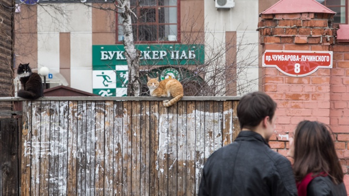 «Как можно реставрировать сайдингом?»: московская художница — о неприятном облике Архангельска
