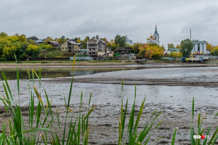 Воду из пруда спустили в сентябре 2018-го Воду из пруда спустили в сентябре 2018-го