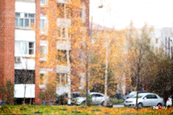 По народным приметам, лето в этом году <a href="https://76.ru/text/summer/66184324/" target="_blank" class="_">перейдёт в раннюю зиму</a> По народным приметам, лето в этом году <a href="https://76.ru/text/summer/66184324/" target="_blank" class="_">перейдёт в раннюю зиму</a>