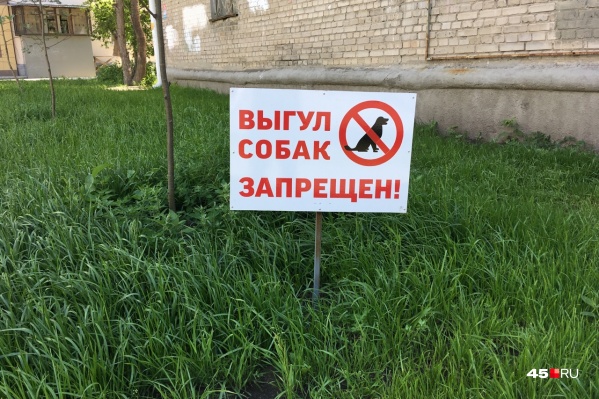 Вместо зон выгула в городе стоят запрещающие таблички Вместо зон выгула в городе стоят запрещающие таблички