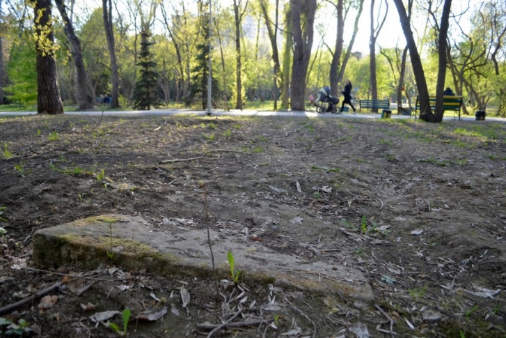 Кладбище в парке признали объектом археологического наследия