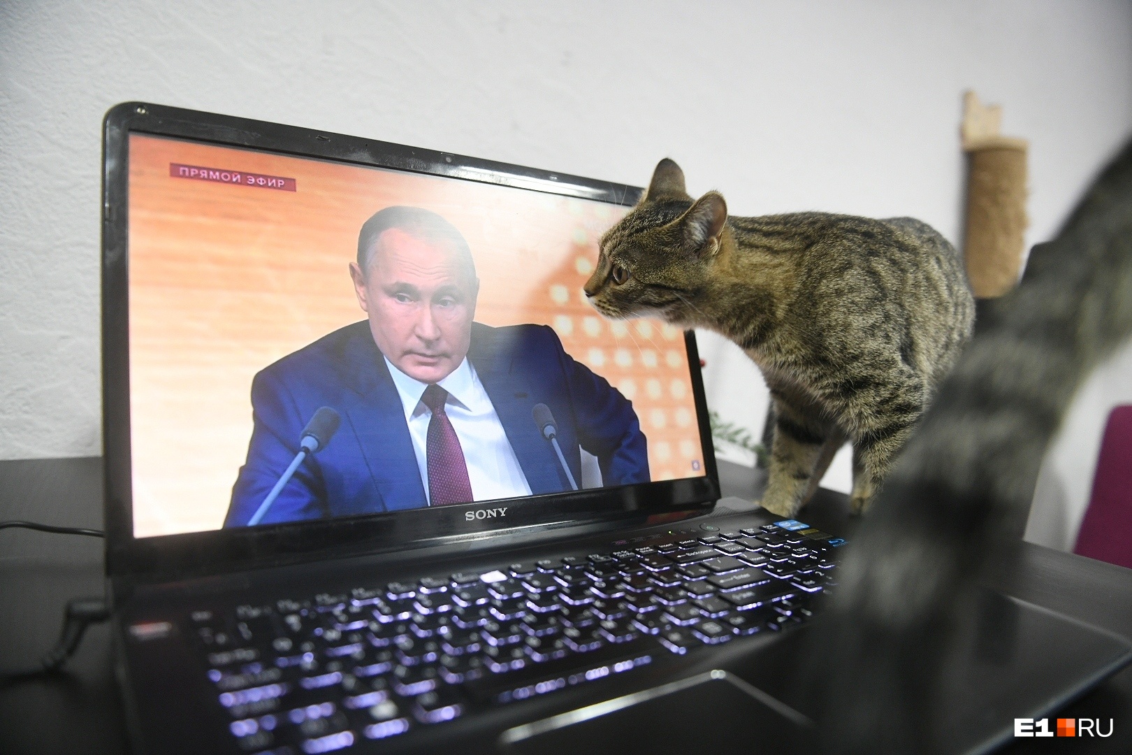 «Вот, то-то же!» «Вот, то-то же!»