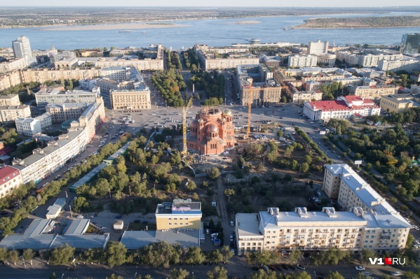 30 туй пересадят, а остальные деревья вырубят 30 туй пересадят, а остальные деревья вырубят