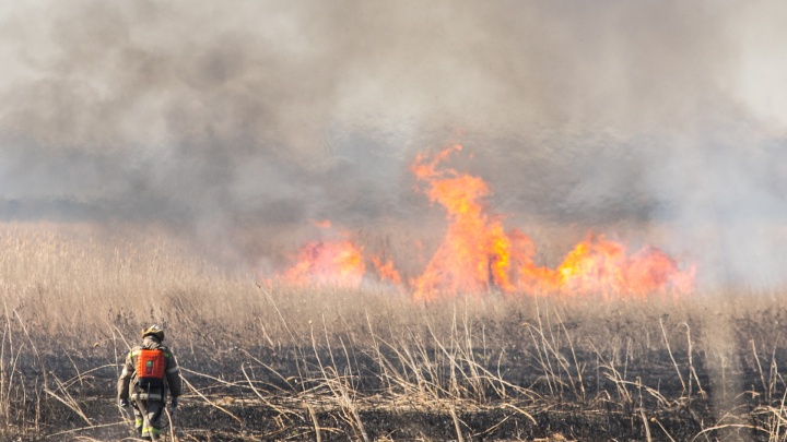 С 10 по 12 июня в Ростовской области ожидается чрезвычайная пожароопасность