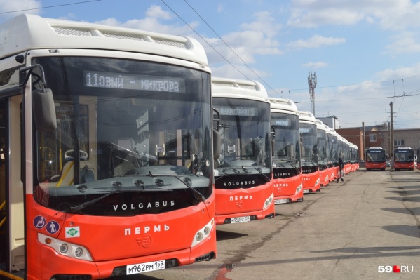 Сейчас в Перми работает 75 новых автобусов Сейчас в Перми работает 75 новых автобусов
