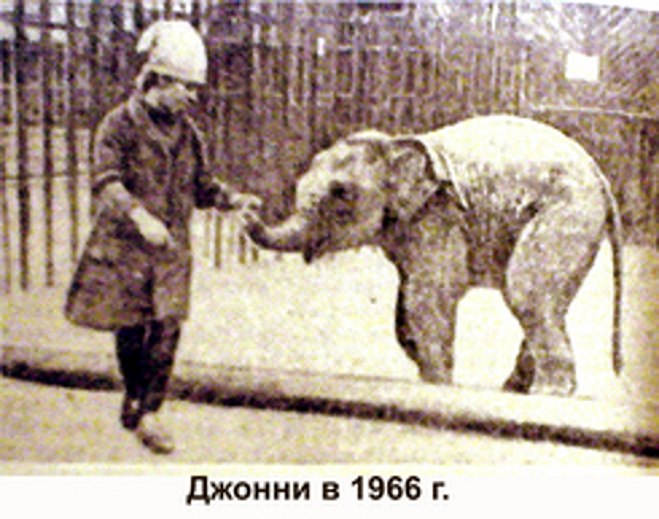 Такой вот маленький Джонни Такой вот маленький Джонни
