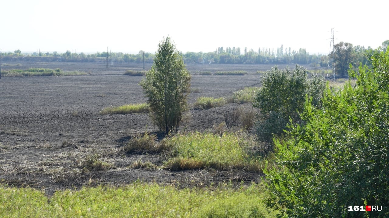 Пожар уничтожил растительность на пяти гектарах Пожар уничтожил растительность на пяти гектарах