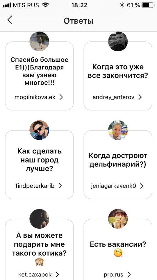 Откуда у вас кошка и когда будет лето? О чём читатели E1.RU спрашивали нас в новом сервисе Instagram